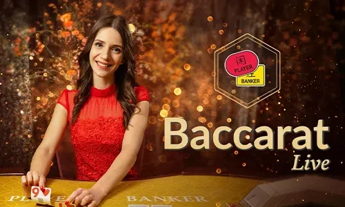 Sabong Betting on Winwin APK